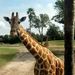 Profile Picture of Jessi Mrkvicka (@jmrkvicka) on Pinterest