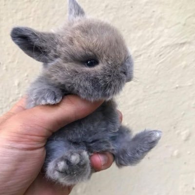 Profile Picture of Sel & Steen (@CelestineAdam) on Twitter