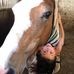 Profile Picture of Julie Read (@julie.read.77) on Facebook