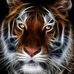 Profile Picture of Gerald Weis (@gerald.weis.1) on Facebook