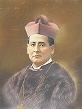 Profile Picture of José Gregorio Castroon Wikipedia