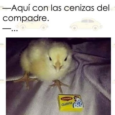 Profile Picture of Carlos Renovato (@658e7f62a6f94e1) on Twitter