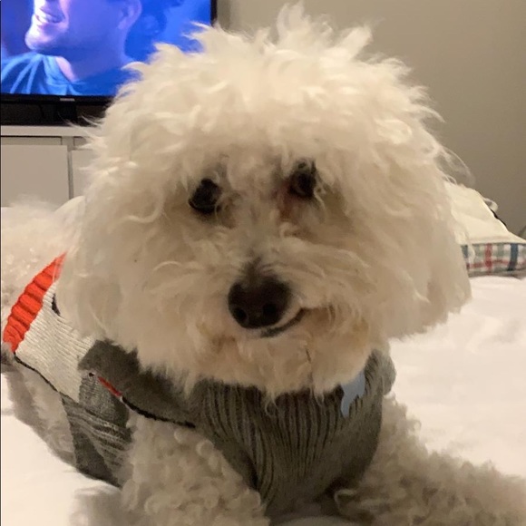 Profile Picture of Claudia Ledesma (@claumelendezc) on Poshmark