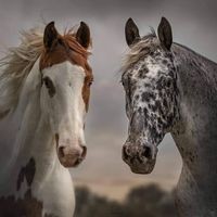 Profile Picture of Jimmie Heath Rone (@jimmie-heath-rone) on Quora