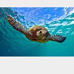 Profile Picture of Finne (@bryan_finne) on Instagram