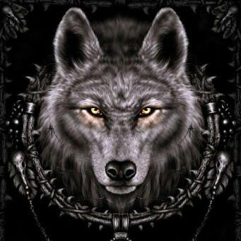 Profile Picture of Lisa Reinhold (@LisaReinhold2) on Twitter