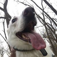 Profile Picture of Matthew Strand (@matthew-strand-9) on Quora