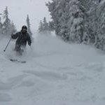 Profile Picture of Paul Schwinghamer (@paulschwinghamer) on Instagram