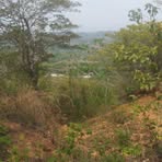 Profile Picture of Olmer Saenz (@Olmer-Saenz) on Facebook