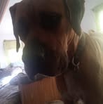 Profile Picture of David Ricker (@david.ricker.587) on Facebook