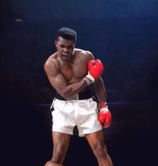 Profile Picture of Jack Wissink (@jacktwissink) on Poshmark