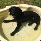 Profile Picture of   Fiona... (@fionagriffiths11) on Tiktok