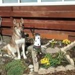 Profile Picture of Peter Bann (@peterbannajr) on Instagram