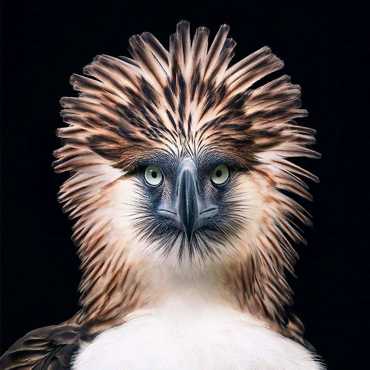 Profile Picture of Henry Fielding (@r.r.xx) on Tiktok