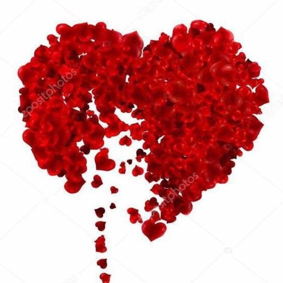 Profile Picture of Lizeth Sanchez (@alonzocris) on Poshmark