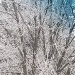 Profile Picture of Clayton A Mathews (@claytonmathews1) on Instagram