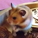 Profile Picture of Erik Halle (@erik.halle.535927) on Facebook