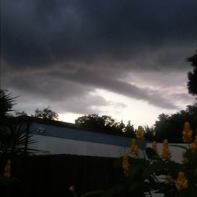 Priscilla Hayes - Pinterest Profile Picture of Priscilla Hayes (@priscilla678527) on Pinterest