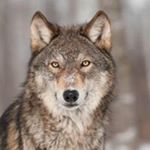 Profile Picture of Jeffrey McElroy (@jeffmcelroy69) on Instagram