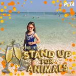 Profile Picture of Debbie Pfaff (@debbie.pfaff.18) on Instagram