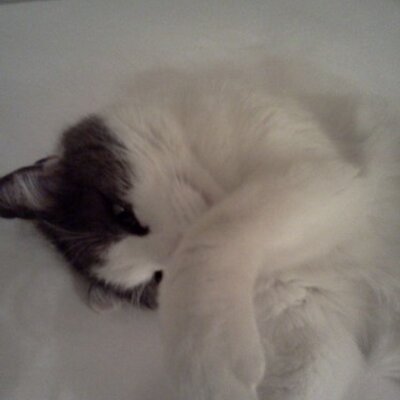 Profile Picture of Amanda Trask (@mandyleightrask) on Twitter