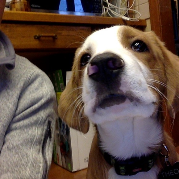 Profile Picture of Kelsey Cahill (@kelseyecahill) on Poshmark