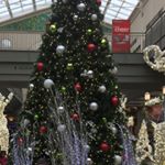 Profile Picture of Jason Lin (@jason_yao_lin) on Instagram