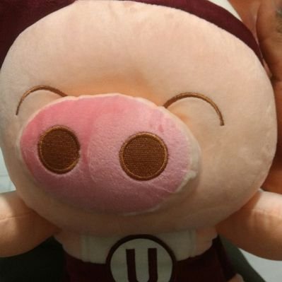 Profile Picture of joshua alejos sotero (@jozhUa2969) on Twitter