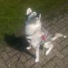 Profile Picture of Alexandra Wilhelms (@@alexandrawilhelms) on Tiktok