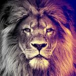 Profile Picture of Brian Groenewegen (@briangroenewegen117) on Instagram