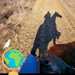 Profile Picture of Brigitte Baumgartner (@brigitte.baumgartner.148) on Instagram