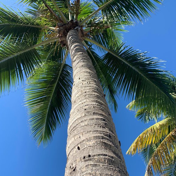 Profile Picture of Danielle Koval (@pippy30) on Poshmark