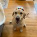 Profile Picture of Ann Gorrell (@ann.gorrell.7161) on Facebook