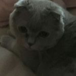 Profile Picture of terry (@_.terry_vish._) on Instagram