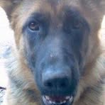 Profile Picture of Oleg Wassilenko (@oleg.wassilenko) on Facebook