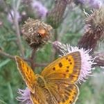 Profile Picture of Frank Hafner (@fra.haf) on Instagram