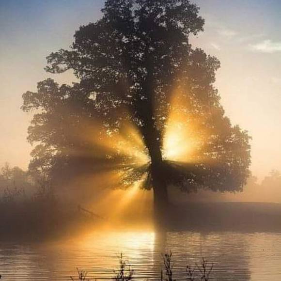 Profile Picture of April Maruca (@craftyme2004) on Poshmark