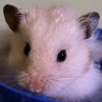 Profile Picture of Kelson Kleinhampl (@kelson-kleinhampl) on Quora