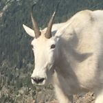 Profile Picture of Matthewfrosaker (@matthewfrosaker) on Instagram