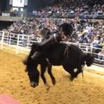 Profile Picture of Joe Gingerich (@joe.gingerich.52) on Instagram