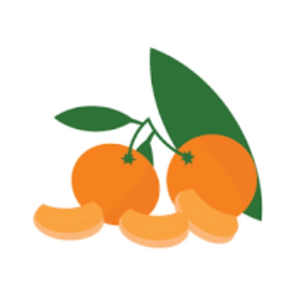 Profile Picture of Clementine Clapp (@clementineclapp) on Poshmark