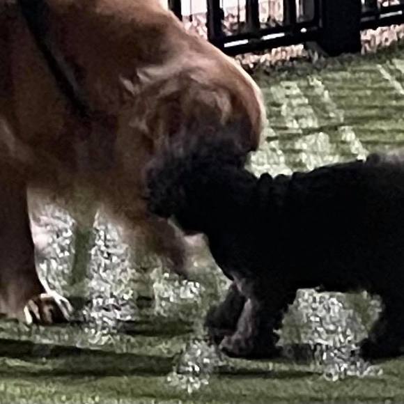 Profile Picture of Jesse Hiney (@oeniphile) on Poshmark