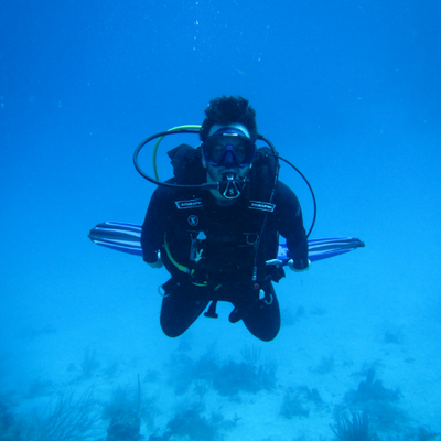 Profile Picture of Paul Leingang (@coral_robot) on Twitter