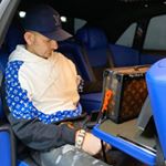Profile Picture of Walshway Mike (@thewalshway) on Instagram
