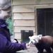 Profile Picture of Hazel Smith (@hazledazle) on Pinterest