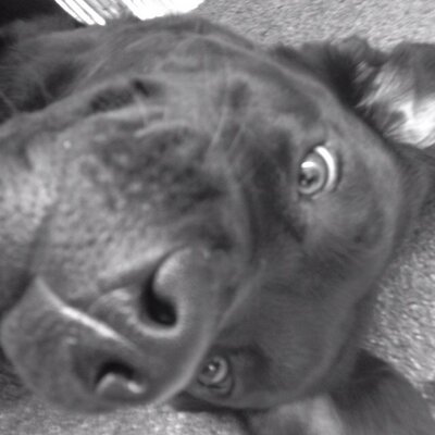 Profile Picture of Me Yo (@EvaBarLo) on Twitter