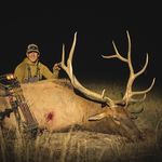 Profile Picture of Andrew Whitney (@andrew_whitney) on Instagram