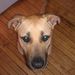 Profile Picture of Steven Grady (@grady_steven) on Pinterest