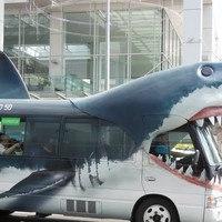 Profile Picture of Lilian Lee Shanok (@lilian-lee-shanok) on Quora