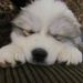Profile Picture of janet graham (@nursegraham95) on Pinterest